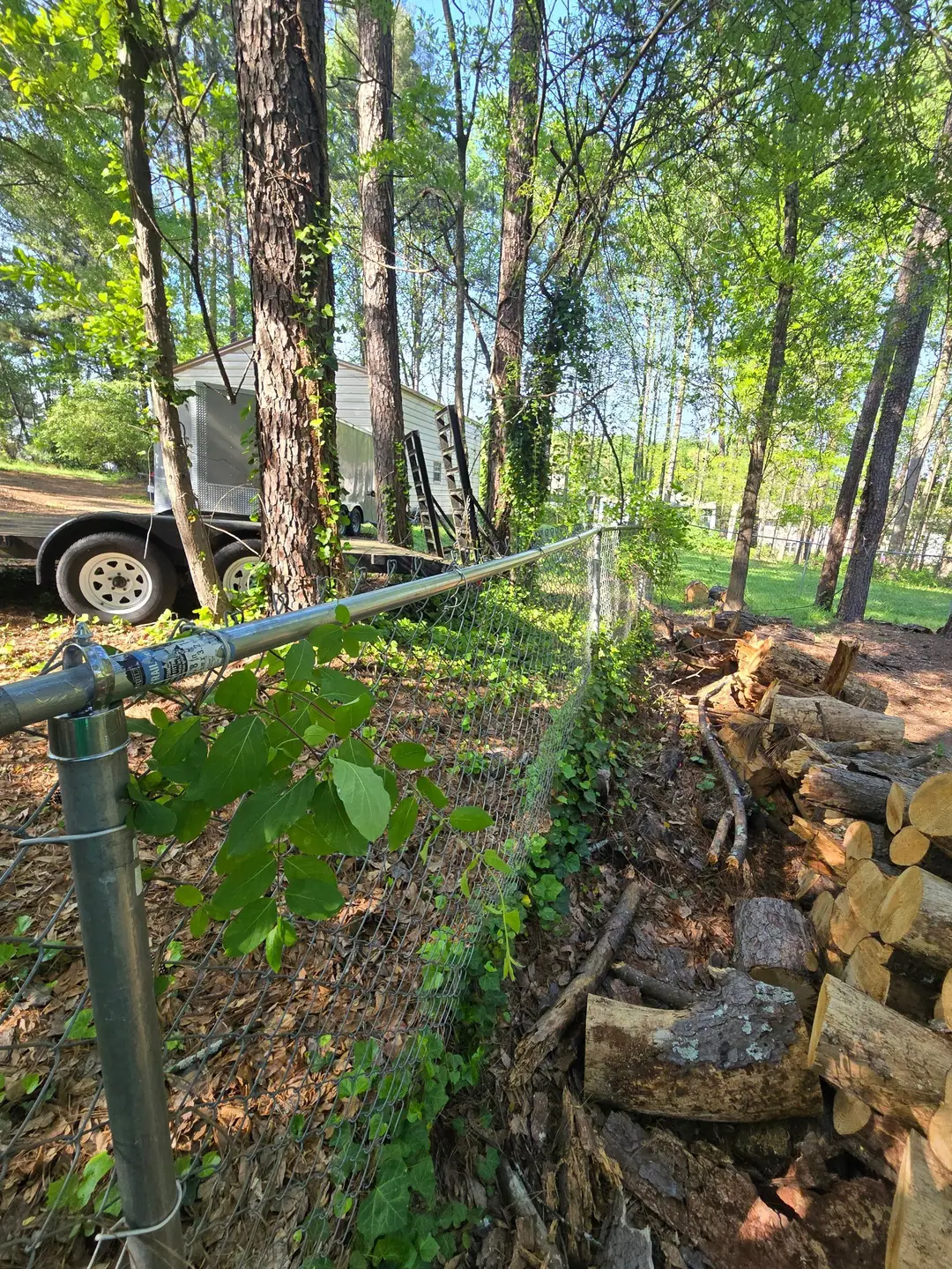 After: the chain link fence standing again with a new straight top rail