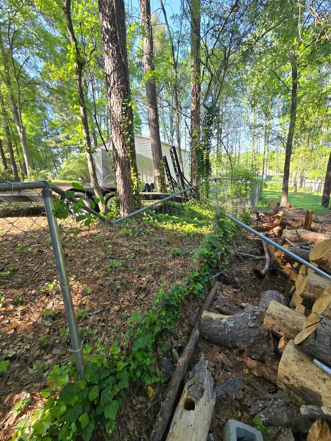 Before: a chain link fence crushed and bent by fallen trees in the woods