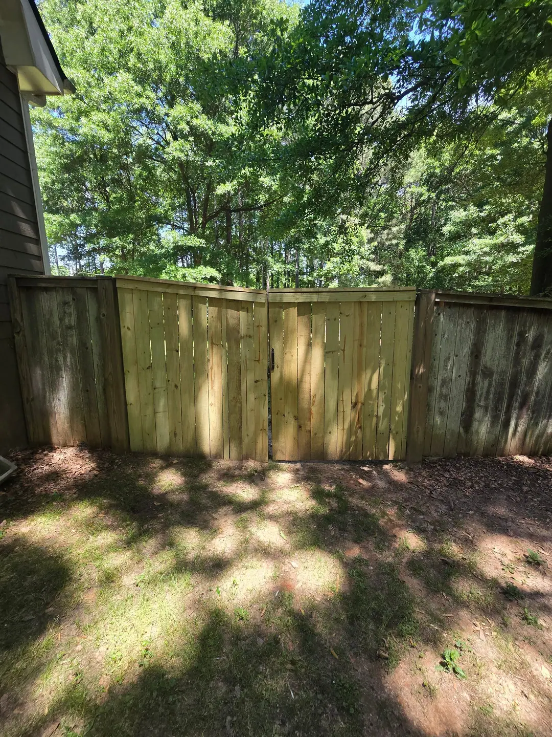 New pine double gate set into an older gray fence