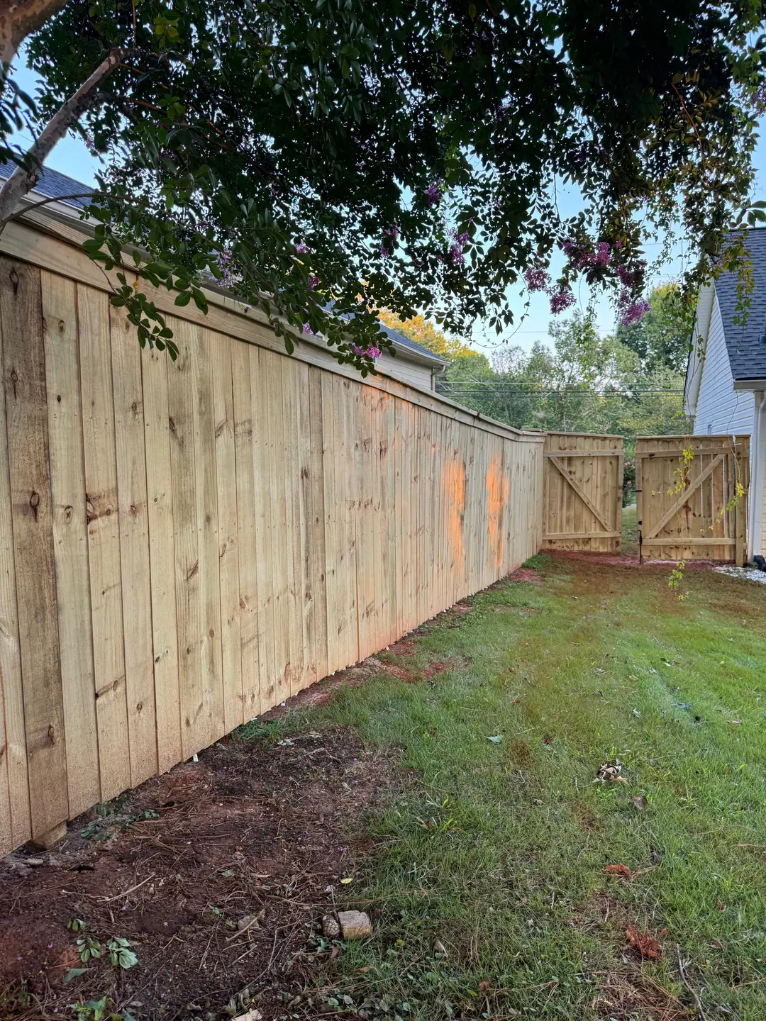 Long wood privacy fence leading to a pair of new cross-braced gates